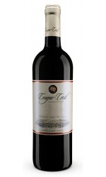 Red Wine Bottle shot